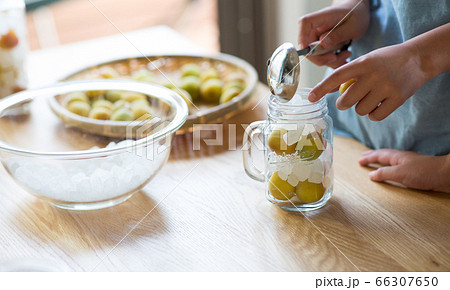 梅と氷砂糖でシロップを作る梅仕事 66307650