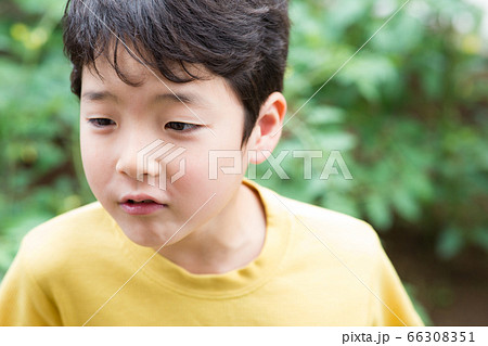 野菜の苗を植える小学生 野菜の苗を植える小学生 66308351