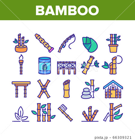 Bamboo Nature Plant Collection Icons Set Vector Bamboo Nature Plant Collection Icons Set Vector 66309321