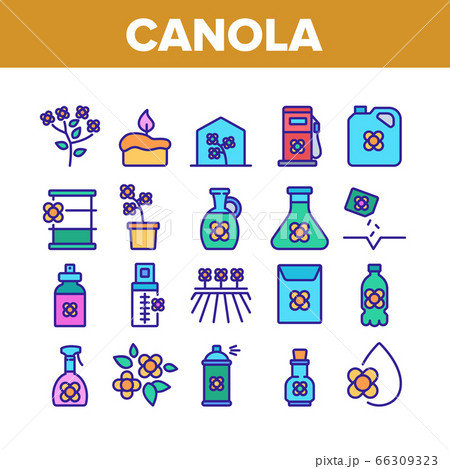 Canola Agricultural Collection Icons Set Vector 66309323