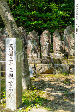 寂光院665 寂光院665 66309515