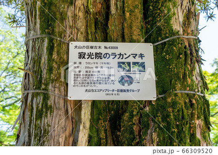 寂光院634 66309520