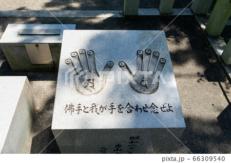 寂光院572 66309540