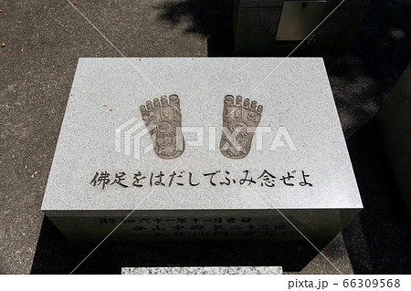 寂光院571 66309568