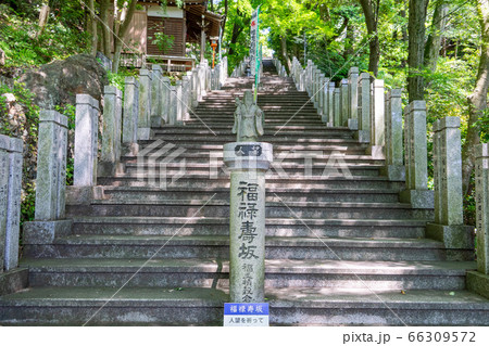 寂光院557 66309572