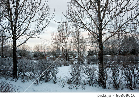 Reykjavik city hostel outside view of ice during winter Reykjavik city hostel outside view of ice during winter 66309616