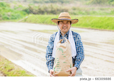 田植えと米収穫イメージ 66309886