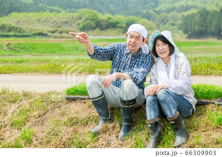 田植えの合間あぜ道で休憩する農家の夫婦 田植えの合間あぜ道で休憩する農家の夫婦 66309903