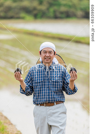 田んぼでおにぎりを持つ男性 66309909