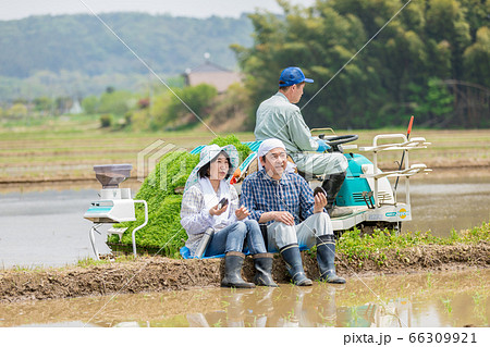田植えの合間あぜ道で昼食をとる農家の夫婦 田植えの合間あぜ道で昼食をとる農家の夫婦 66309921