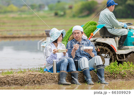 田植えの合間あぜ道で昼食をとる農家の夫婦 66309929