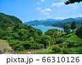 宮ヶ瀬湖【鳥居原湖畔庭園】5 66310126