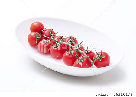 新鮮な房付きトマト 獲れたてミニトマト 赤い野菜 イメージ素材の写真素材