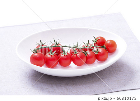 新鮮な房付きトマト 獲れたてミニトマト 赤い野菜 イメージ素材の写真素材