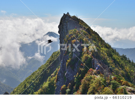 西日本最高峰の百名山石鎚山1982ｍ 66310219