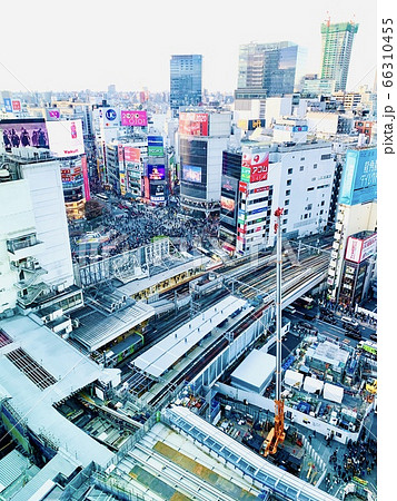 渋谷スクランブル交差点 渋谷スクランブル交差点 66310455