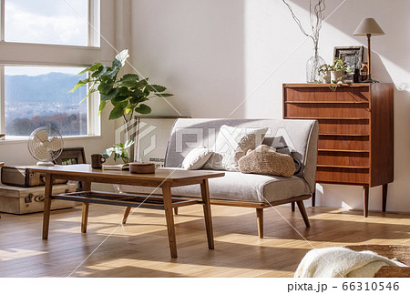 明るいリビングルーム　自然光あふれる部屋　フローリングの住宅 66310546