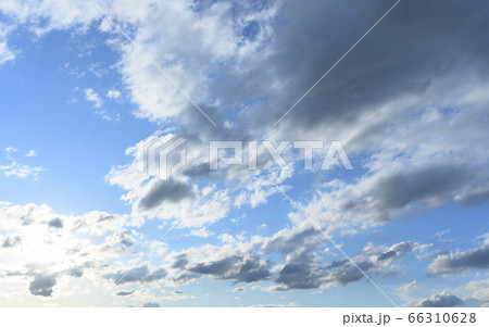 空 空 66310628