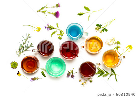 Various colorful herbal tea collection in glass Various colorful herbal tea collection in glass 66310940