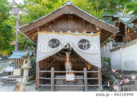 針綱神社723 針綱神社723 66310946