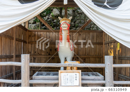 針綱神社714 針綱神社714 66310949