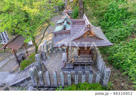 針綱神社699 針綱神社699 66310952