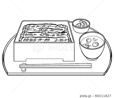 土用の丑の日 うな重のペン画イラストのイラスト素材