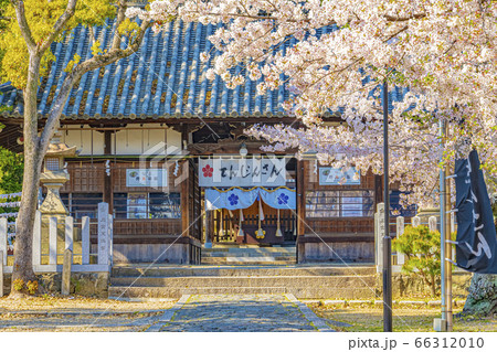 大阪　高槻　春の上宮天満宮　　　 66312010