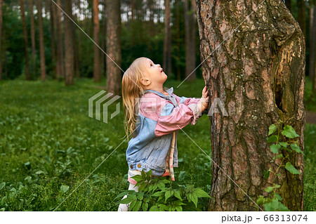 little girl girl looking up along a tree trunk little girl girl looking up along a tree trunk 66313074
