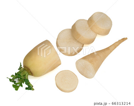 fresh daikon radish with slices isolated on white background fresh daikon radish with slices isolated on white background 66313214