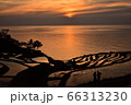 夕刻の白米千枚田 66313230