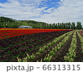 ファーム富田２ 66313315