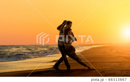 lover couple dancing social dance ( 66313667