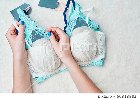 Variety of female bra in underwear store. Variety of female bra in underwear store. 66313882