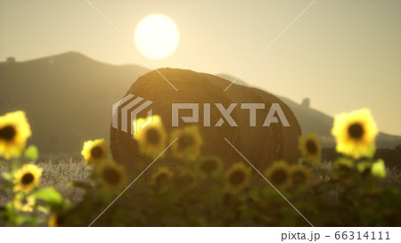 hay bales in the sunset hay bales in the sunset 66314111