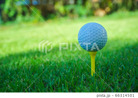 Golf ball on tee in the evening golf course with 66314501