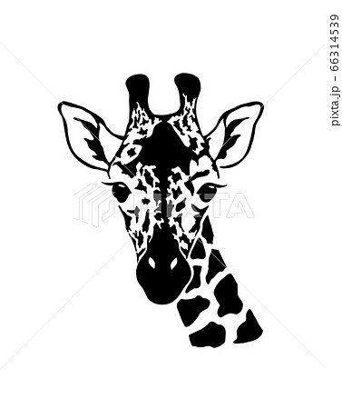 Giraffe Head Wild Animal Logo Artwork Design のイラスト素材