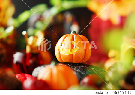 ハロウィン・イメージ 66315149