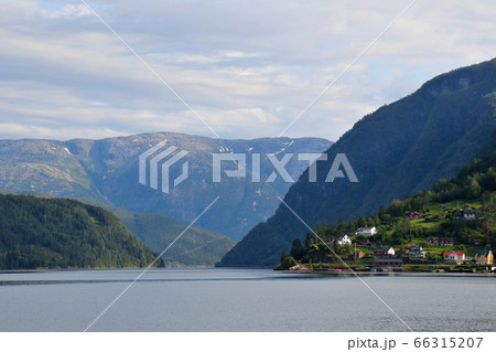 ノルウェー　ハダンゲルフィヨルド、ウルヴィク地区から南側の凪いだフィヨルドを望む　アップ 66315207