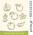 doodle apple set isolated on white background. Vector 66316102