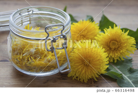 In a glass jar dandelion petals 66316498