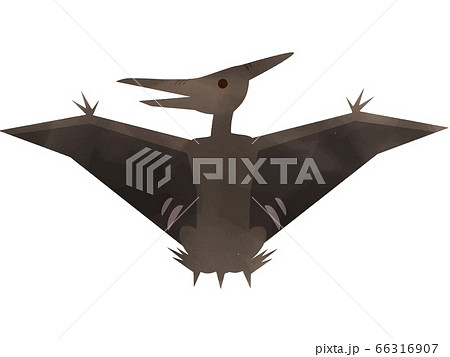 翼竜かわいいシンプルなプテラノドンのイラスト素材