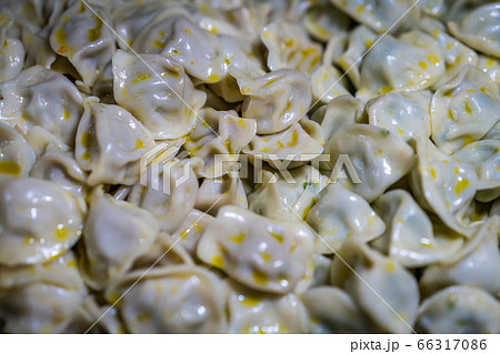 Delicious traditional chinese dumplings 66317086