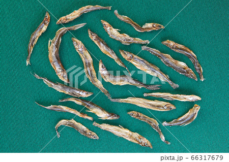 A school of dried fish on green background. 66317679