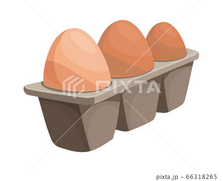 Chicken eggs in carton box isolated on white background. Cardboard tray with brown eggs, front view. Healthy organic diet food. Fresh chicken eggs in box 66318265