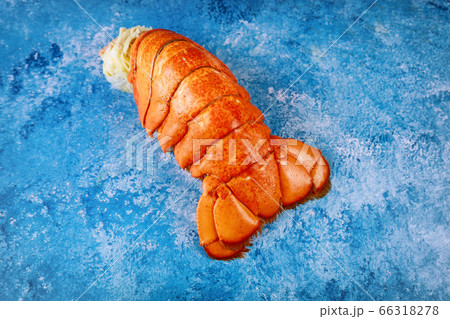 Lobster dinner with boiled lobster tail Lobster dinner with boiled lobster tail 66318278