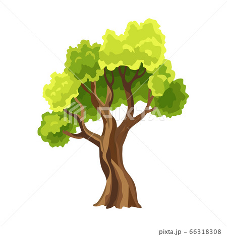 Tree with green leafage. Abstract stylized tree. Watercolor foliage. Natural illustration Tree with green leafage. Abstract stylized tree. Watercolor foliage. Natural illustration 66318308