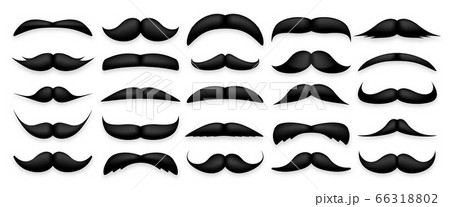 Mustache collection. Vintage moustache isolated on white. Facial hair. Hipster beard. Vector 66318802