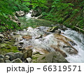 爽やかな夏の渓流イメージ 66319571