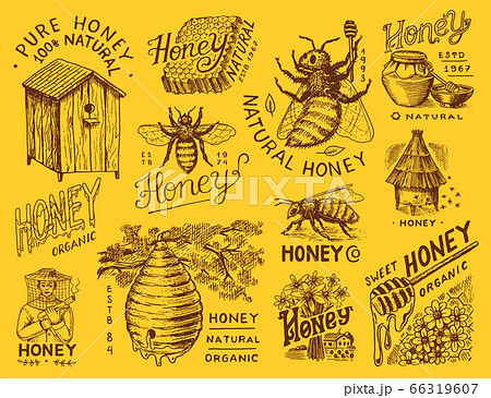 Honey and bees set. Beekeeper man and Honeycombs and hive and apiary. Vintage logo for typography 66319607